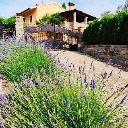 Apartment Wine & Olive Oil Mofardin Koper Zewnętrze zdjęcie