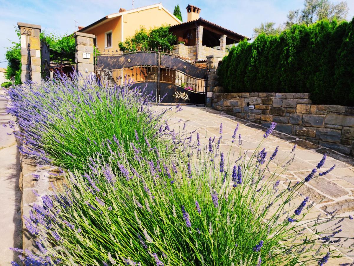 Apartment Wine & Olive Oil Mofardin Koper Zewnętrze zdjęcie